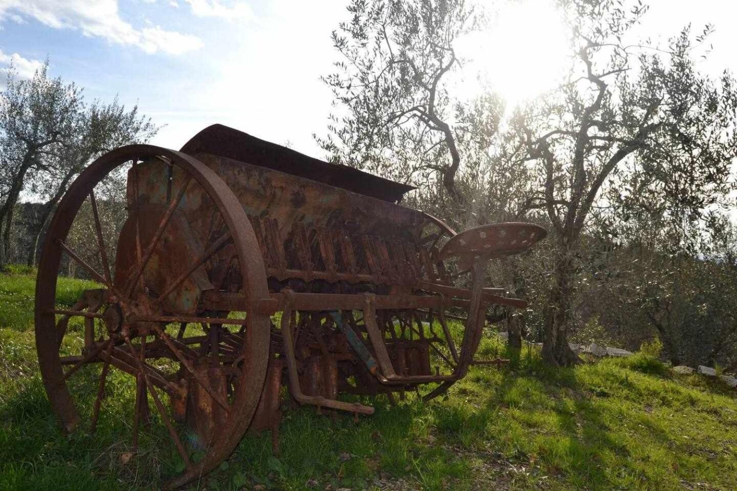 Agriturismo San Silvestro San Donato in Poggio 外观 照片